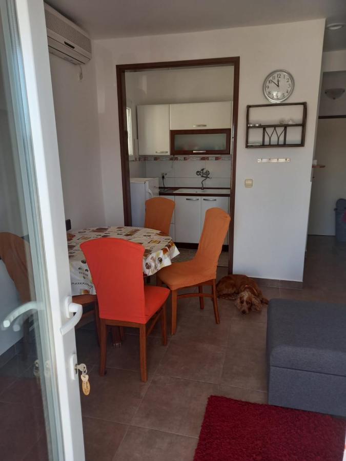 Apartman Rebeka 제제라 외부 사진